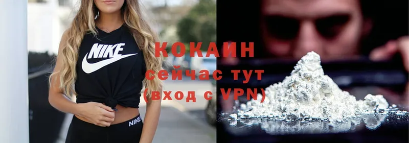 COCAIN FishScale  ссылка на мегу tor  Улан-Удэ 